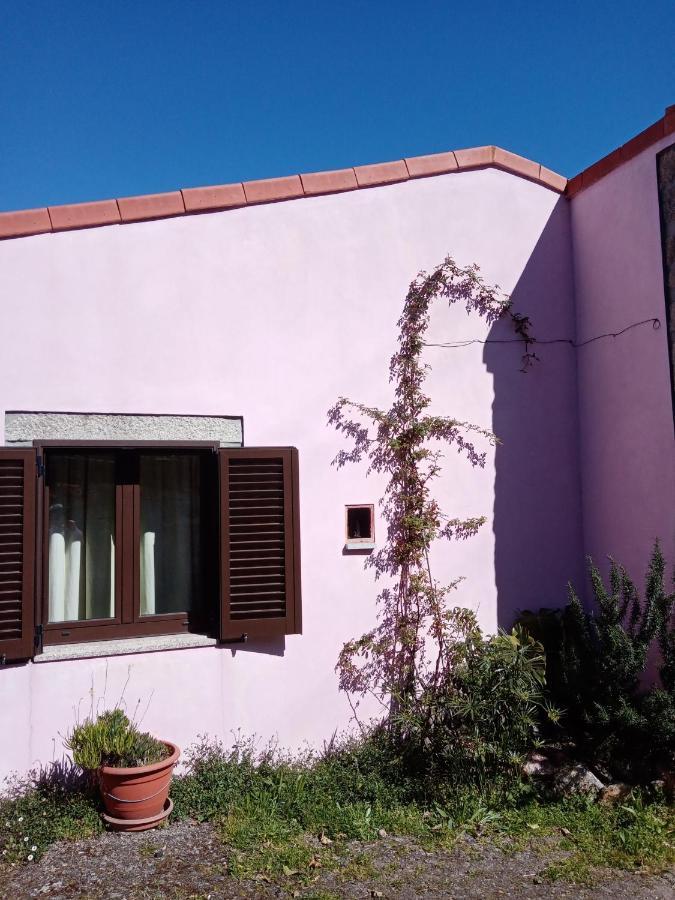 Pêssego - AL Arouca Exterior foto